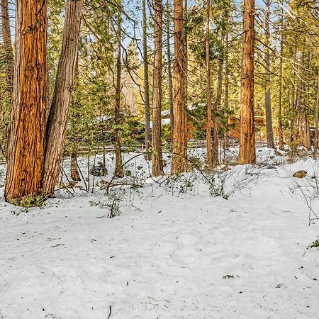 Creekside Cabin Hotel Idyllwild Bagian luar foto