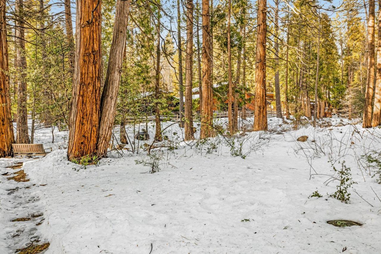 Creekside Cabin Hotel Idyllwild Bagian luar foto