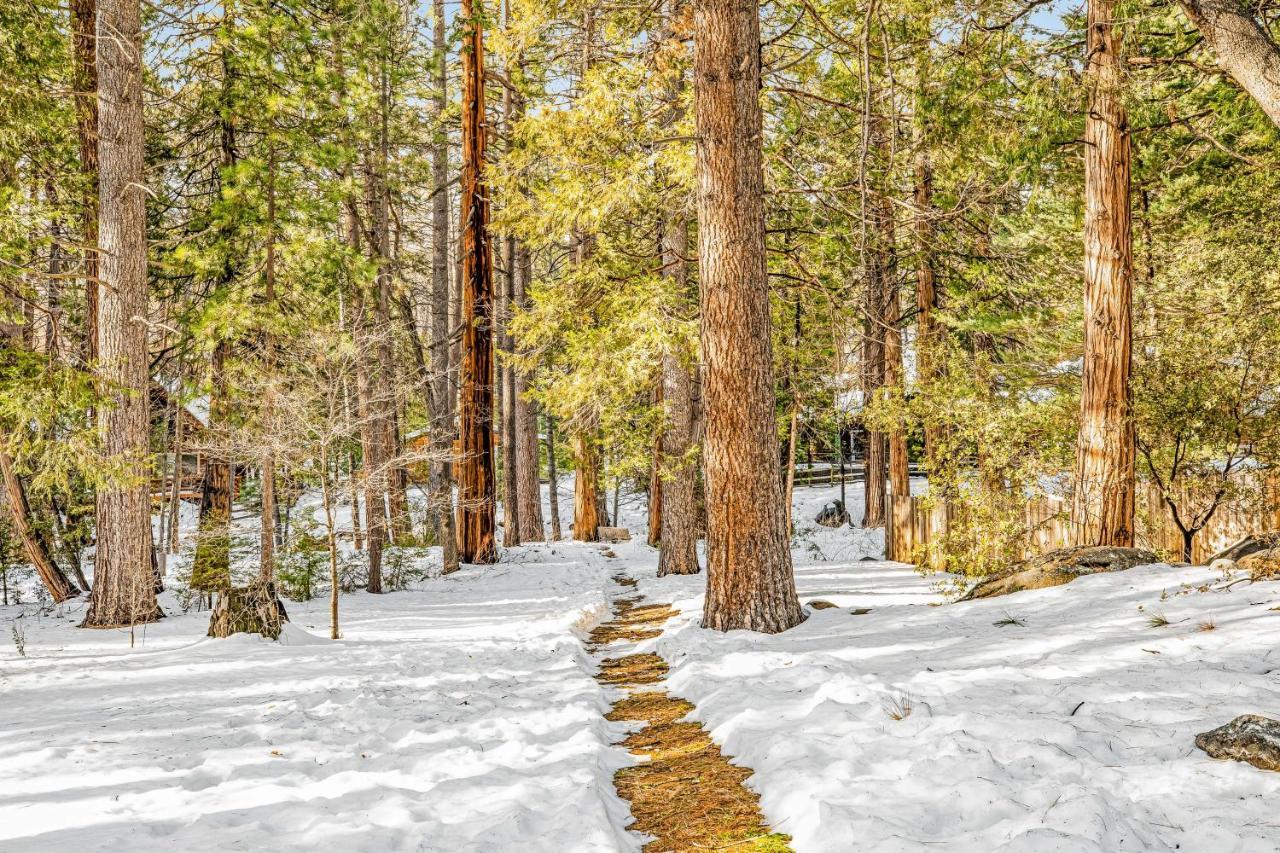 Creekside Cabin Hotel Idyllwild Bagian luar foto